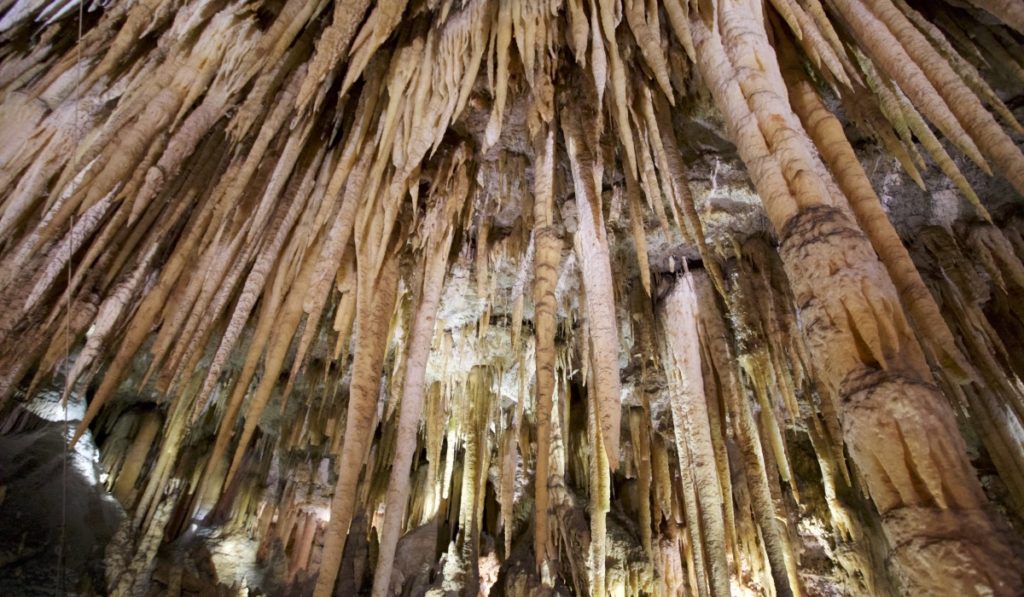 plafond de stalactites, grotte de france, gouffre de proumeyssac